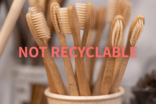 Why we decided NOT TO sell Bamboo toothbrushes?