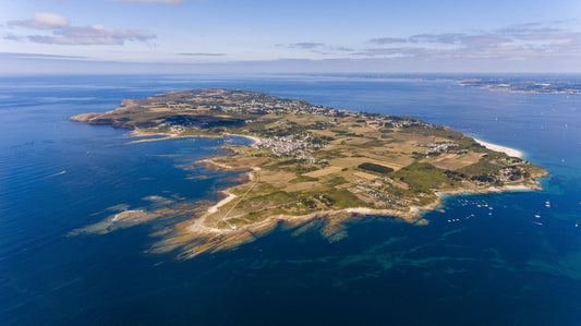 Can We Still Save the Ocean? A rational look at progress, pressure, and personal responsibility