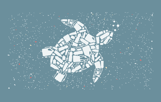 Making Waves with Reusable Toothbrushes: The Impact of Ocean Bound Plastic